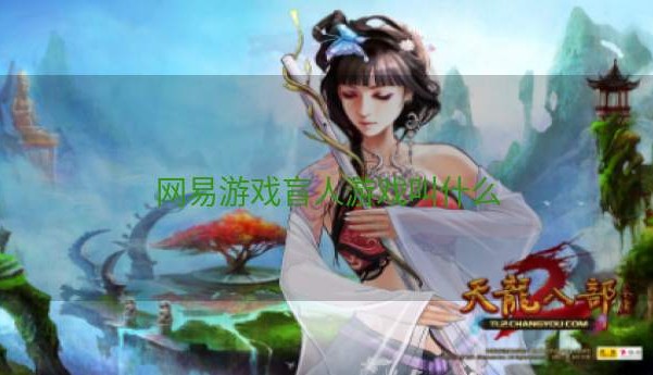 网易游戏盲人游戏叫什么