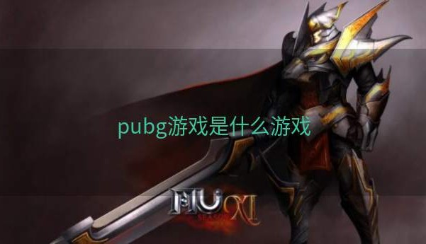 pubg游戏是什么游戏