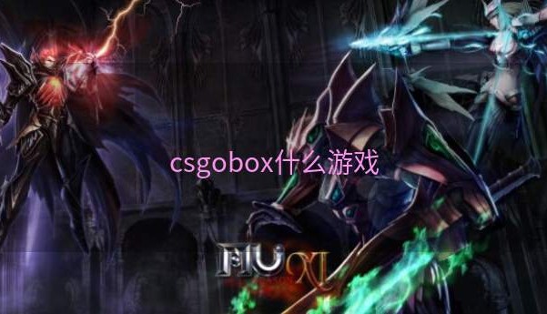 csgobox什么游戏