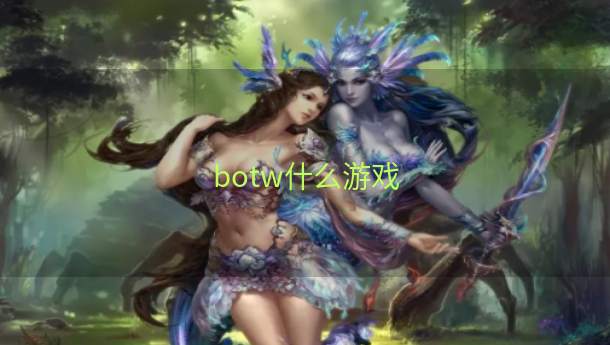 botw什么游戏  第1张