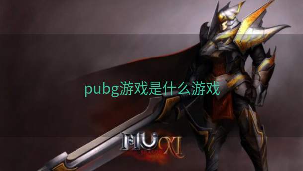 pubg游戏是什么游戏  第1张