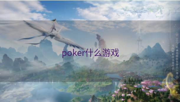 poker什么游戏  第1张